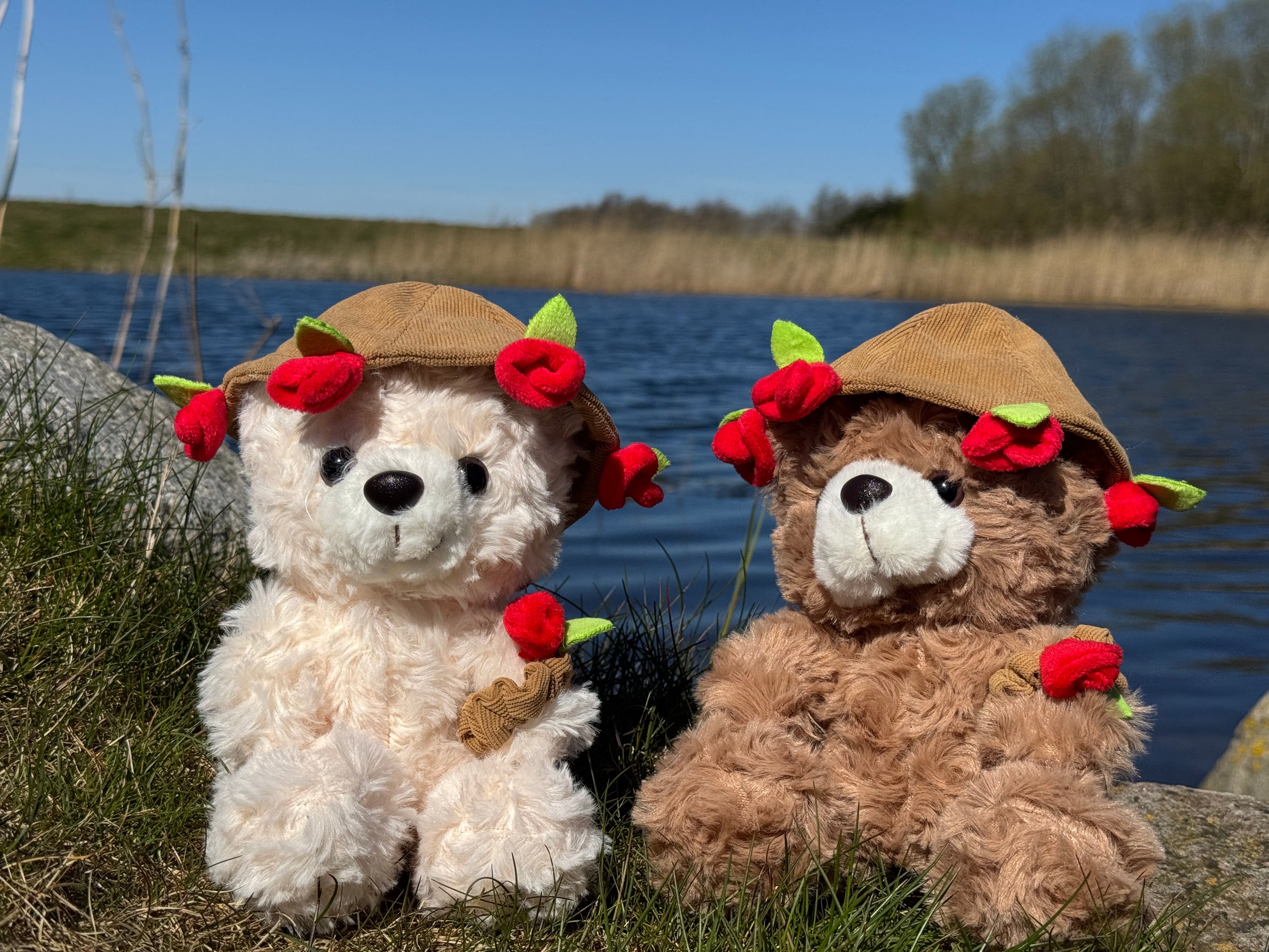 Valentins Dag